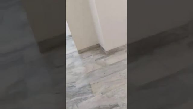 A Duplex Kothi (House) in New Friends Colony, South Delhi смотреть онлайн