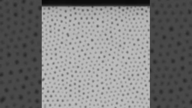 Brownian colloids under shear смотреть онлайн