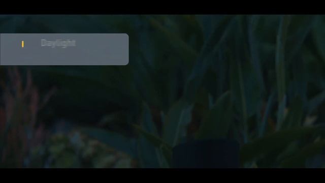 Solar Rose Petal Bollard Light from KODA | LED Pathway Landscape смотреть онлайн