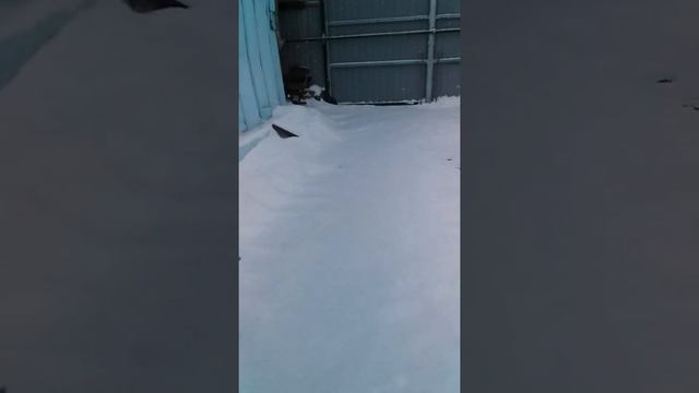 Погода В городе Чита.11.02.2021 смотреть онлайн