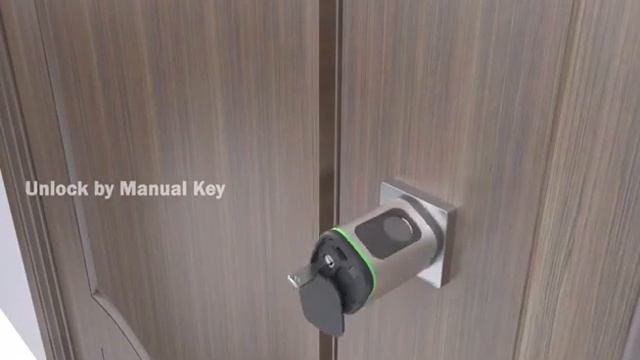 Raykube S1 Tuya Ble Tt Lock Smart Electronic Door Lock With Diy Cylinder Core Fingerprint App Keys смотреть онлайн