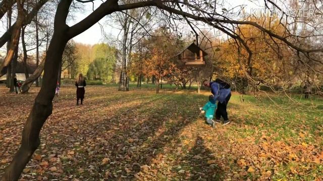 Приключения Остапа. 1 серия. Что в дупле? смотреть онлайн