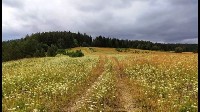 А  Ахматова  Творчество  Тайны ремесла  1 #стихиотворчестве #поэтысеребряноговека