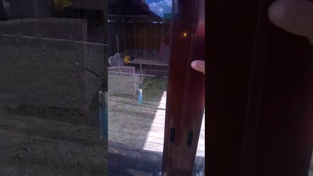 Беседка Рассвет-2 смотреть онлайн