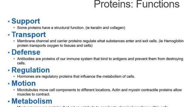 Biomolecules M2 P4 смотреть онлайн