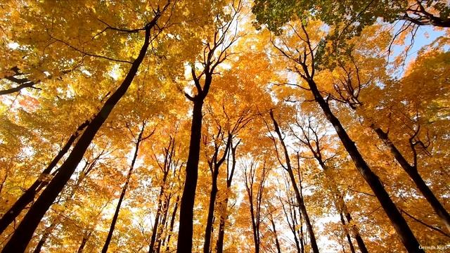 North by Sleeping At Last, arr. George Chung смотреть онлайн