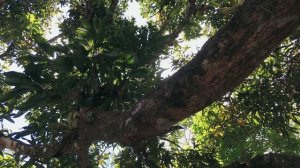 Путешествия с Гордоном Рамзи 1 сезон 1 серия «Священная долина Перу» (сериал, 2019)