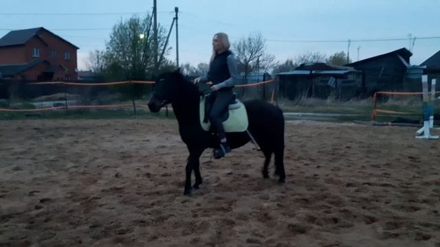 А пони тоже кони ,они грустят в загоне..) смотреть онлайн