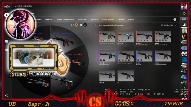 ДЕВУШКА-CS:GO ☆ RETRO ☆ Часть 0.1 - SACRED отменяется! ТЕХ проблемы! смотреть онлайн