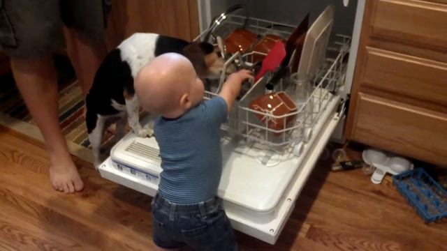 Family loads dishwasher смотреть онлайн
