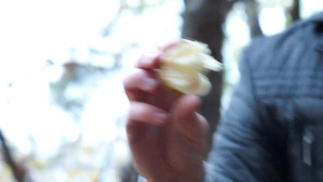 Картофельная пушка смотреть онлайн