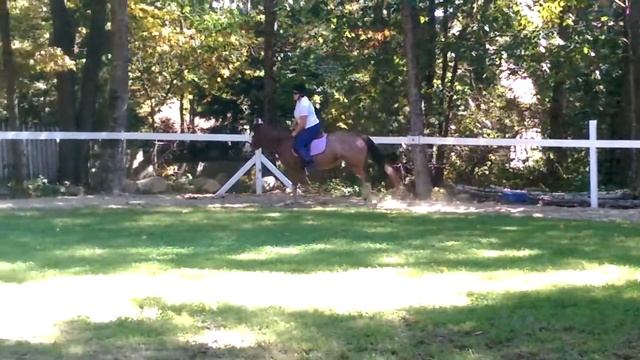 Paprika Jumping смотреть онлайн