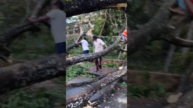 DEVASTATION @ NIT Silchar NEVER EXPERIENCED BEFORE @TopTrending @ShortsBreak_Official смотреть онлайн