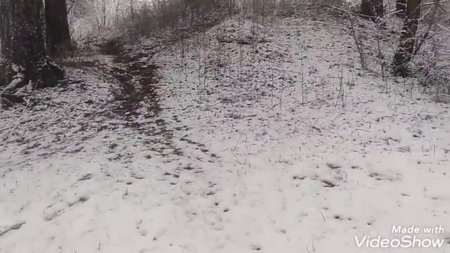 Моя жизнь / Выпал снег. Прогулка по лесу. Люблю кофе с молоком ))
