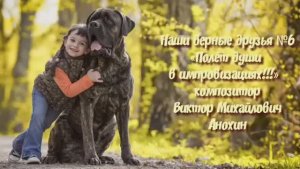 МУЗЫКА «Наши верные друзья №6» ИМПРОВИЗАЦИЯ фортепиано композитор Виктор Анохин #instrumentalmusic