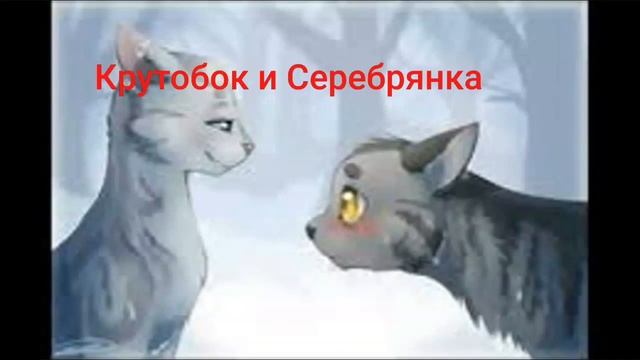 Пары котов воителей 6 пар смотреть онлайн