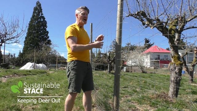 Keep Deer Out - 4 ways! смотреть онлайн