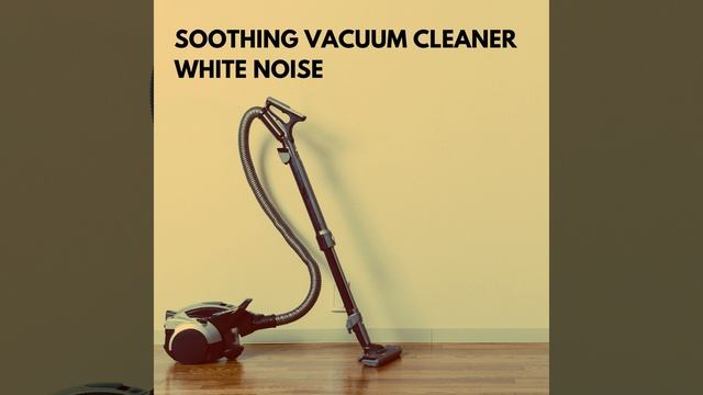 Soothing Vacuum Cleaner Pt.11 смотреть онлайн