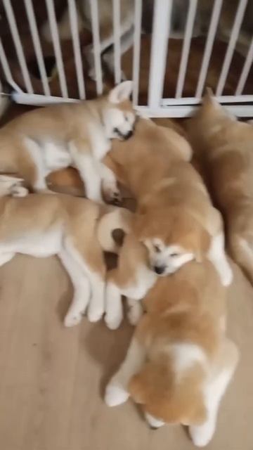 Мой самый любимый момент. смотреть онлайн