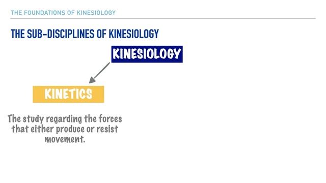 What Is Kinesiology ? смотреть онлайн