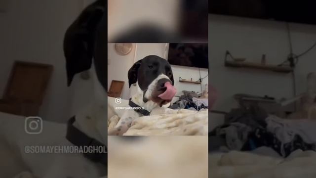 ❤️ I Love u ❤️ смотреть онлайн
