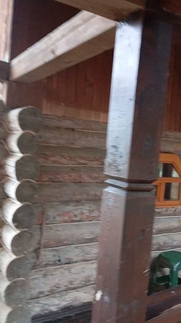 Музей имени Поленова смотреть онлайн