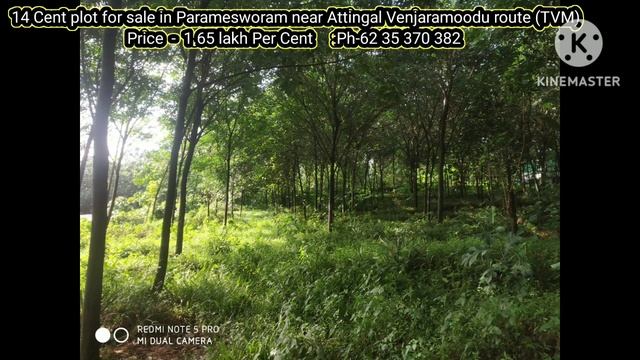 14 Cent plot for sale in Paramesworam near Attingal Venjaramoodu route (TVM) Ph - 62 35 370 382 смотреть онлайн