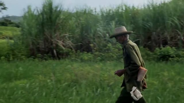 Los Caminos de Cuba смотреть онлайн