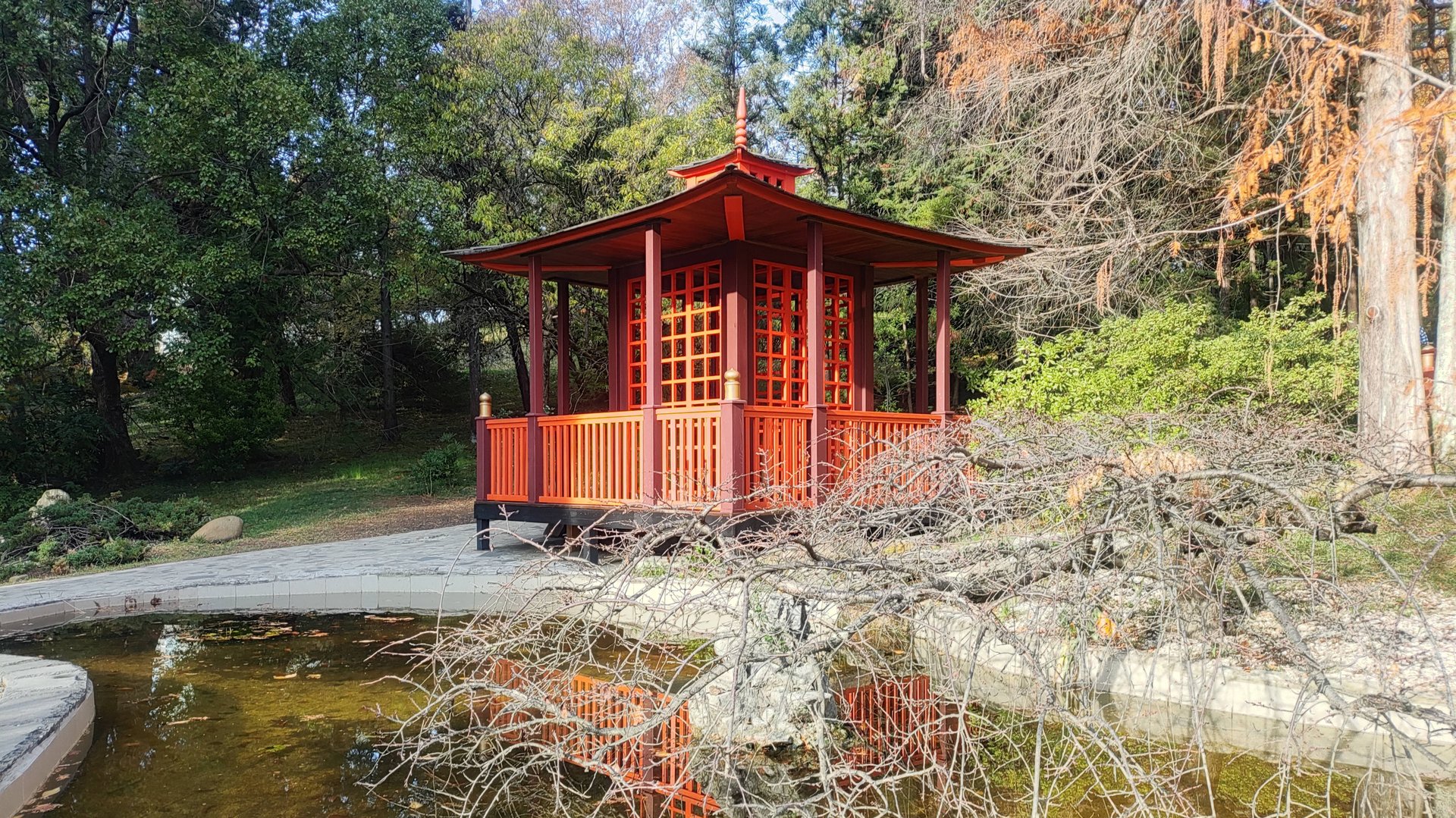 Сочи дендрарий верхний парк