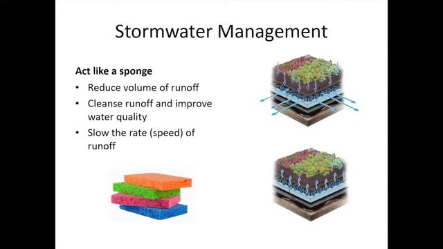 Green Roofs смотреть онлайн