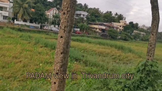 5 cent - sale, Kesavadasapuram to 300 mtrs , padam view, live like resort🚪8921279877 смотреть онлайн