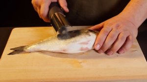 Рыбочистка электрическая 2 Hangwoods