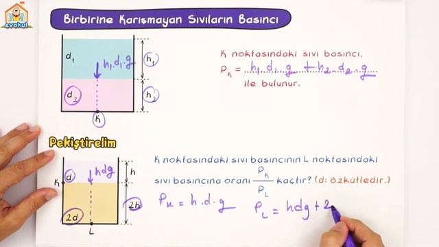 Sıvı Basıncı | 10. Sınıf Fizik смотреть онлайн