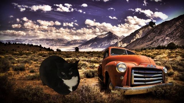 Maxwell the Cat Dance in Different years episode 11 sound variations смотреть онлайн