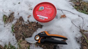 Зимняя обрезка яблонь на полукарликовом подвое.Сезон 2025.