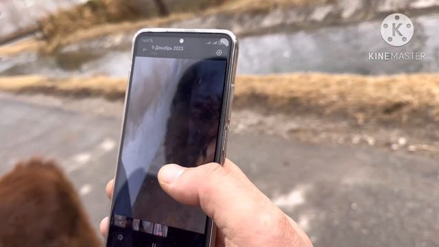 3 БОШЛИ СУТИ КУП ШВЕД СИГИРЛАР КЕЛДИ ☎️+998 91 117 03 07 SOTILADIGON SIGIRLAR NARXI 9 декабря 2023 смотреть онлайн