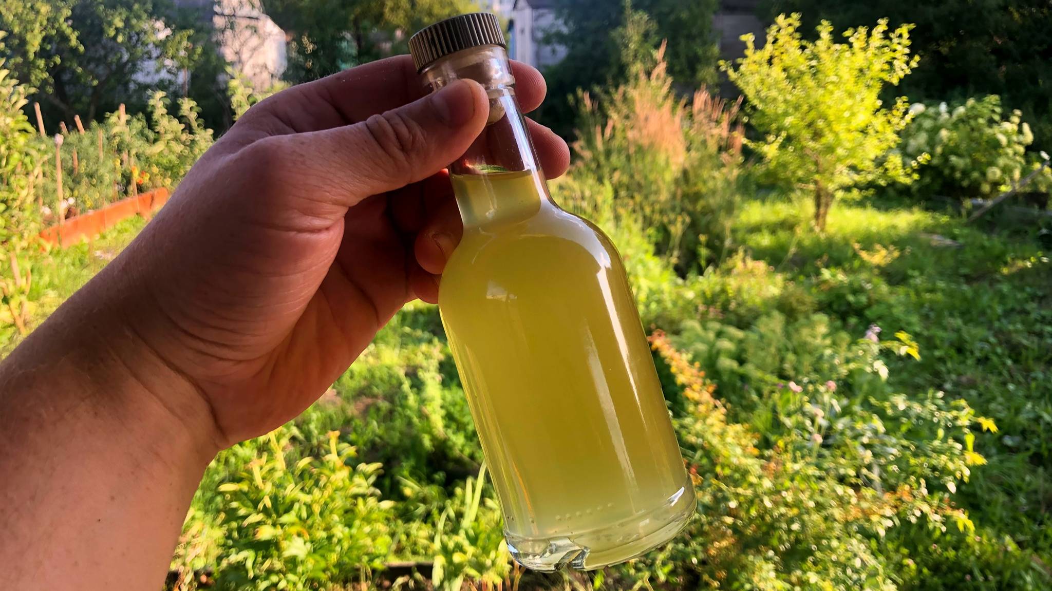 Огуречный сироп