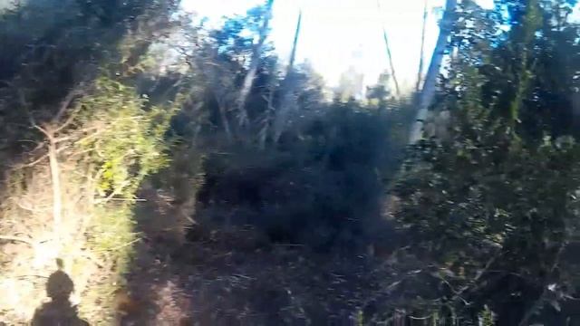 Pentagon bosque 18/01/2015 Parte 2 смотреть онлайн