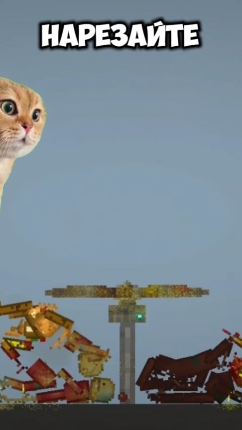 Аэронож леомакс котики одобрямс | Melonplayground