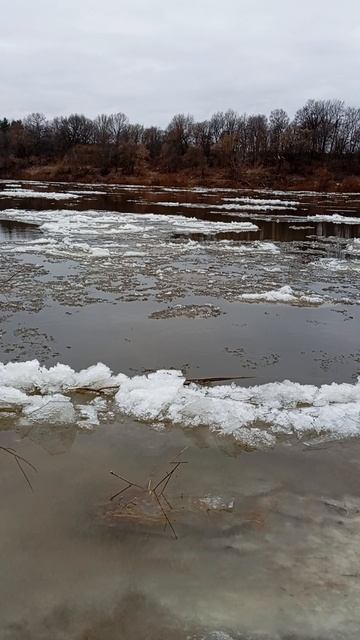 Река Ока. Велигож Тульская область. смотреть онлайн