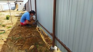 СЕТКА по низу ЗАБОРА от посторонних