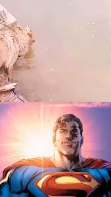 Dog Saves Kitten 🐈 🐾🐾 #shorts #starman #starmanmeme #superman смотреть онлайн
