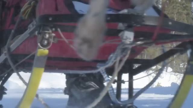 Open North American Sled Dog Race 2013 смотреть онлайн