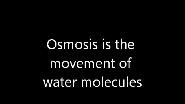 Diffusion and Osmosis Song смотреть онлайн