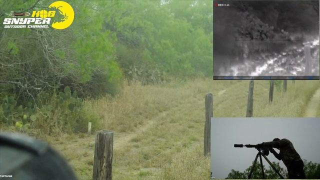 What Hog Hunting Is Really Like. смотреть онлайн