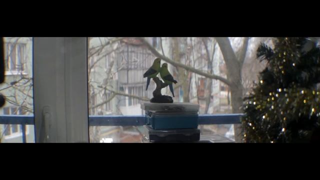 POOLi ANAMORPHiC 1.7 Optical Single Focus.First Test смотреть онлайн