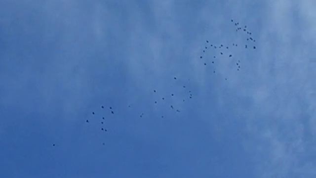 CIMG0007 смотреть онлайн
