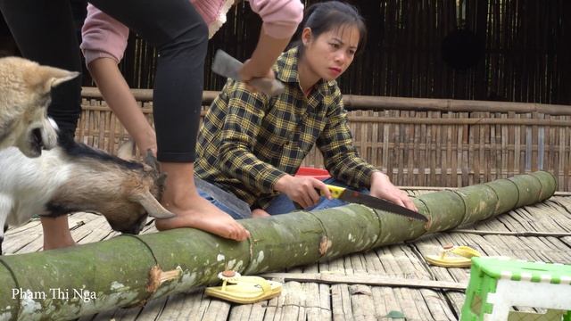 Farm Life: Crafting Fishing Rafts, Harvesting Star Fruit, And Long -Term Preservation Techniques