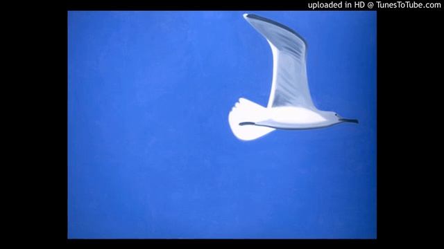 Symphony #2 by Tom Myron - Mvt 1 Graceful, poised смотреть онлайн