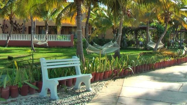 Hotel Brisas**** Guardalavaca Cuba is situated on a beautiful sandy beach with palm trees смотреть онлайн